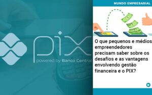 O Que Pequenos E Medios Empreendedores Precisam Saber Sobre Os Desafios E As Vantagens Envolvendo Gestao Financeira E O Pix  - Mithe