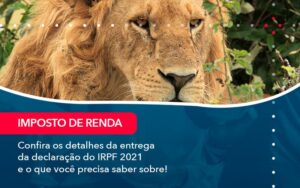 Confira Os Detalhes Da Entrega Da Declaracao Do Irpf 2021 E O Que Voce Precisa Saber Sobre 1 - Mithe