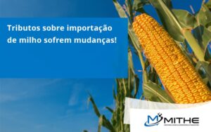Tributos Sobre Importação De Milho Sofrem Mudanças! Mithe - Mithe